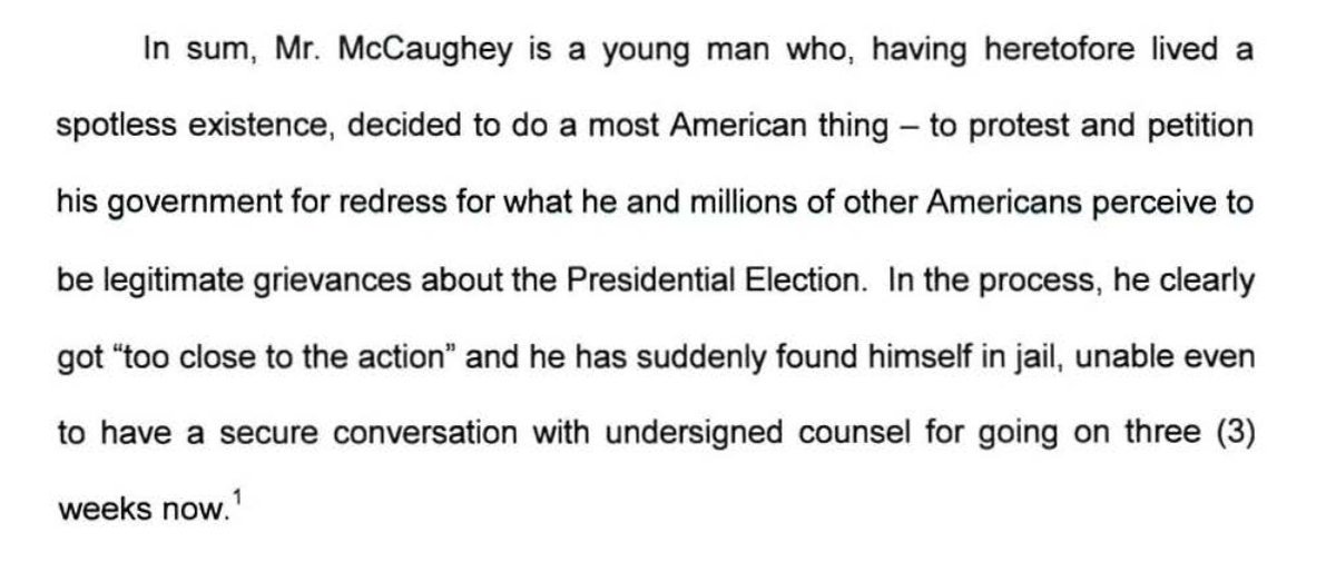 The govt says Patrick McCaughey, 23, should remain in custody pending trial for taking part in the attack on Officer Daniel Hodges, seen below.McCaughey's lawyer says he should be freed. All he did was protest the govt--"a most American thing"--and "got too close to the action."