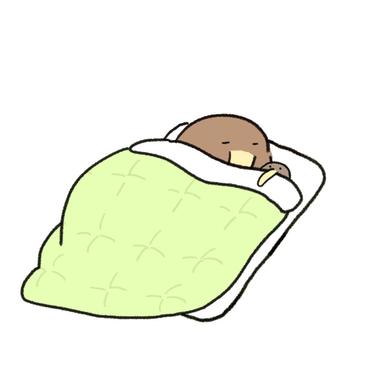 no humans white background simple background animal focus sleeping under covers closed eyes  illustration images