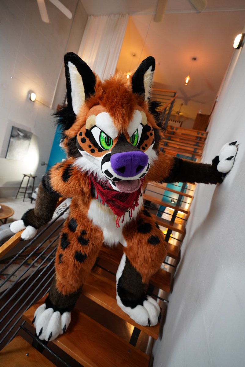 Latinvixen's tweet photo. One of my favorite photos from the weekend 📸 @PhotoVarmint ✂️ #MulticolorBark & #9LIVES_fursuits https://t.co/CfswNuR95j