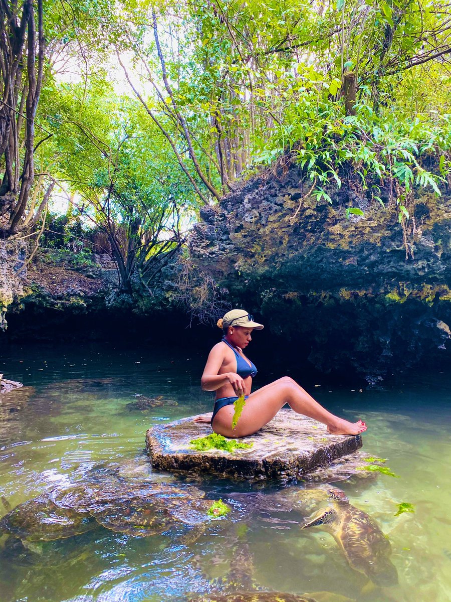AfricaFactsZone's tweet photo. In Nungwi, Zanzibar, Tanzania there is a pool where you can swim with turtles. https://t.co/gqoBKVgeW0