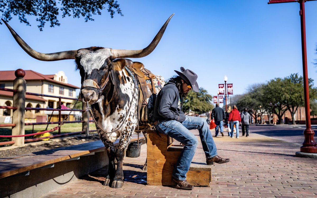crturquoise's tweet photo. Forth Worth, Texas, USA [02-07-21]
https://t.co/h9J1ulLm4M https://t.co/3FES8bT8oR