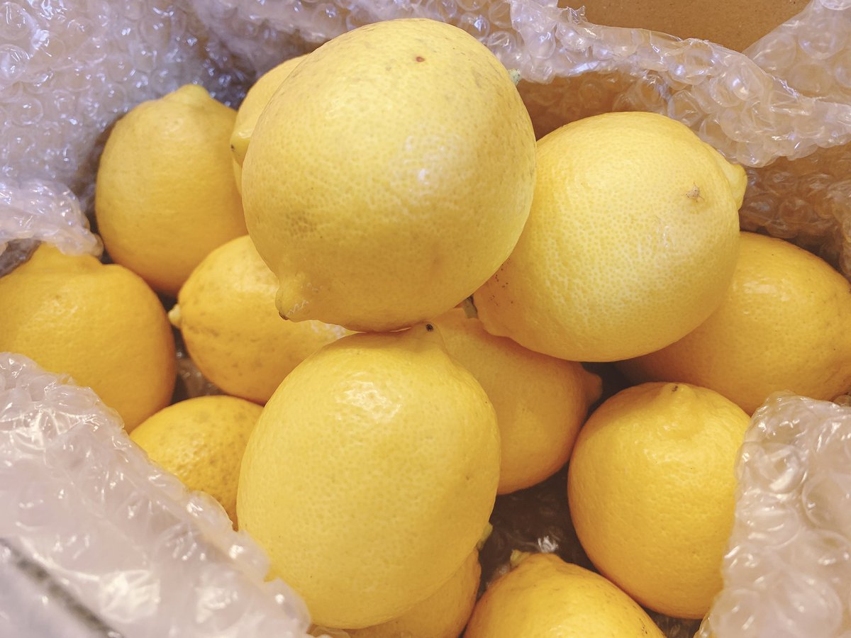 五十嵐食堂 ラーメン 送って頂いた 無農薬完熟レモンを使って リンゴとレモンのコンポート作り 無農薬だから レモン皮ごとザクザク使って安心で美味しい 照りが出るまでコトコト 楽しみに待つことにします りんごの甘さとレモンの酸味をたっぷりと