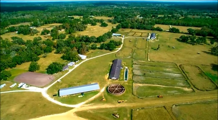 LA FINE DI UN'ERA..
la famiglia Allen vende la gloriosa farm a Ocala (Florida)
terra di grandi campioni del trotto Usa : Cr Kay Suzie, Somollison, Royal Troubador, Cr Track Master con il quale vinsi il Città di Montecatini.. 
la visitai con Lorenzo Baldi e Angelo Cardin nel 1996.