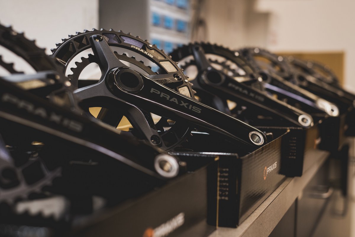 Zayante Carbons lined up for an inspection.