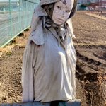 「夜に出会わなくて良かった」と思ったけど昼見てもすごい迫力なカカシ。