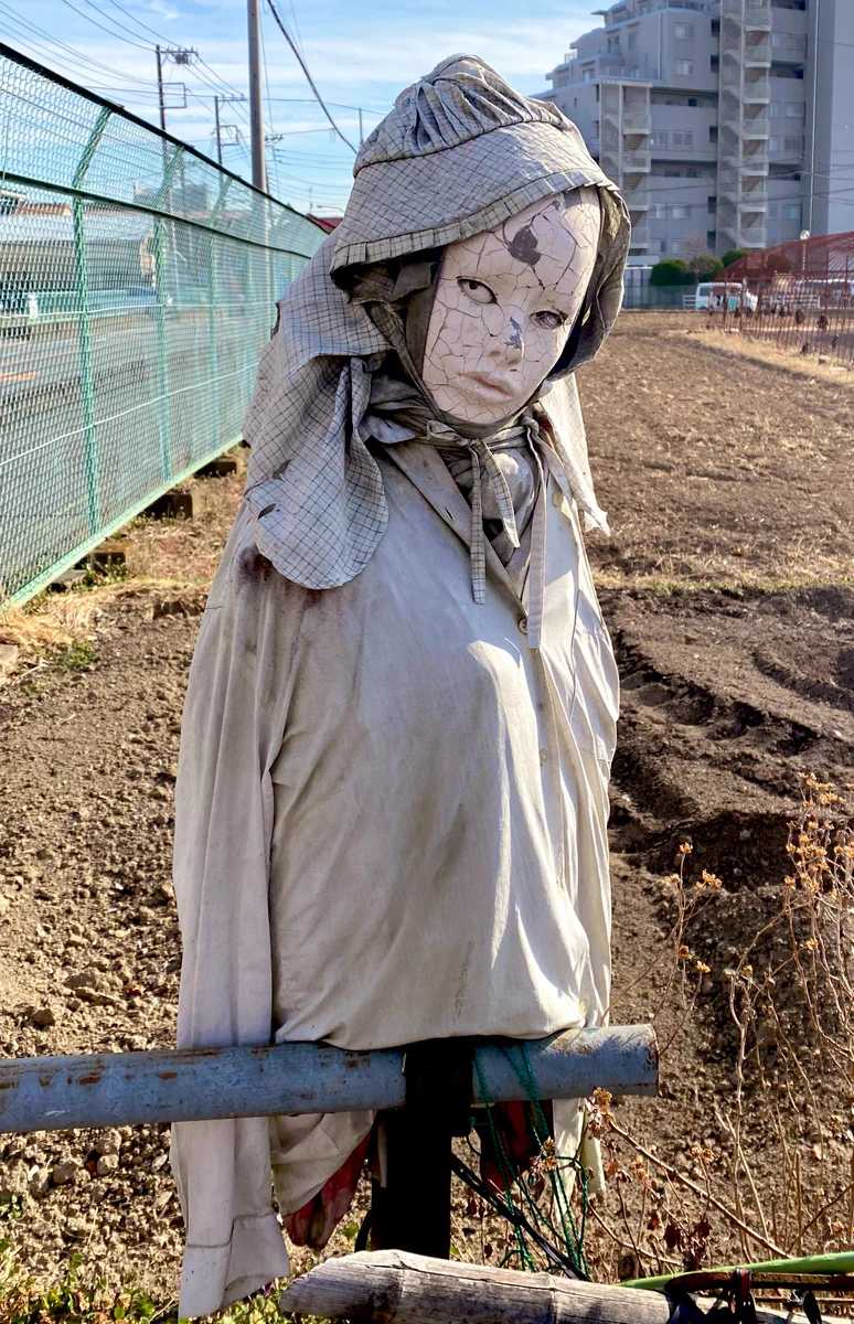 「夜に出会わなくて良かった」と思ったけど昼見てもすごい迫力なカカシ。