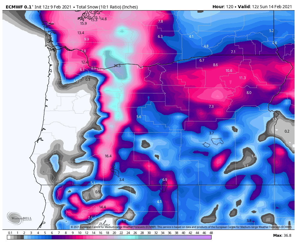 MarkNelsenWx's tweet photo. Looking more and more like this will be one of the bigger snowstorms of my career, at least for some of us in the lowlands.  Check out evening @fox12oregon weather blog update:  https://t.co/KlzcEHns32 https://t.co/fl5XC8OQ2W
