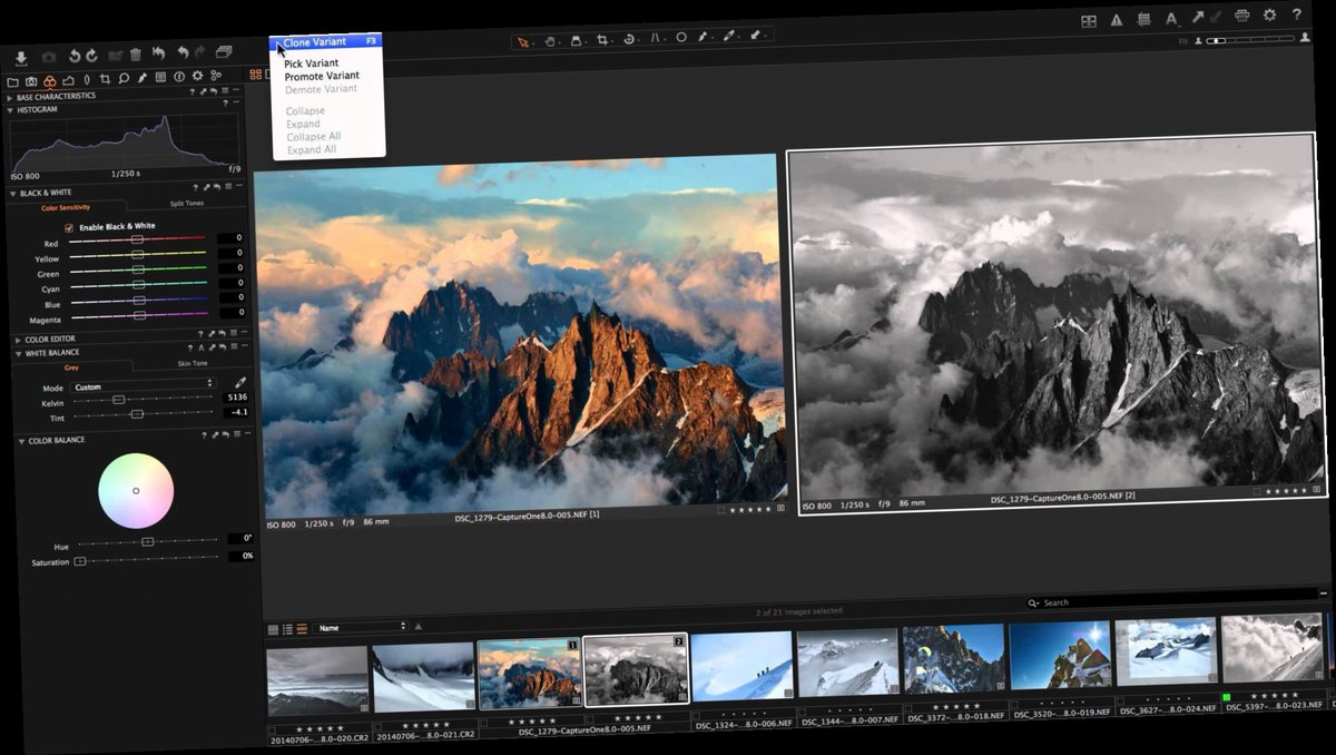 download capture one version 9 / Twitter
