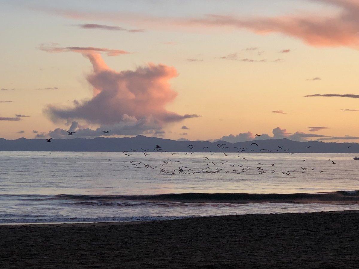 #WalknTalkFamilyRitual
Staying closely connected provides a sense of belonging w our kids during challenging times keeping them positive &amp; healthy A walk to the beach w our dog Buddy to see the sun set unlocks the days tension allows our spirits to soar &amp; creates intimacy #Love