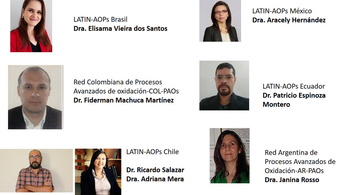 Dr. Ricardor Salazar y Dra. Adriana Mera coordinadores del capítulo LATIN-AOPs Chile.
Dr. Patricio Espinoza Montero, coordinador del capítulo LATIN-AOPs Ecuador
Dra. Janina Rosso (Arg), coordinadora de -AR-PAOs 
Dra. Aracely Hernández, coordinadora del capítulo LATIN-AOPs México.