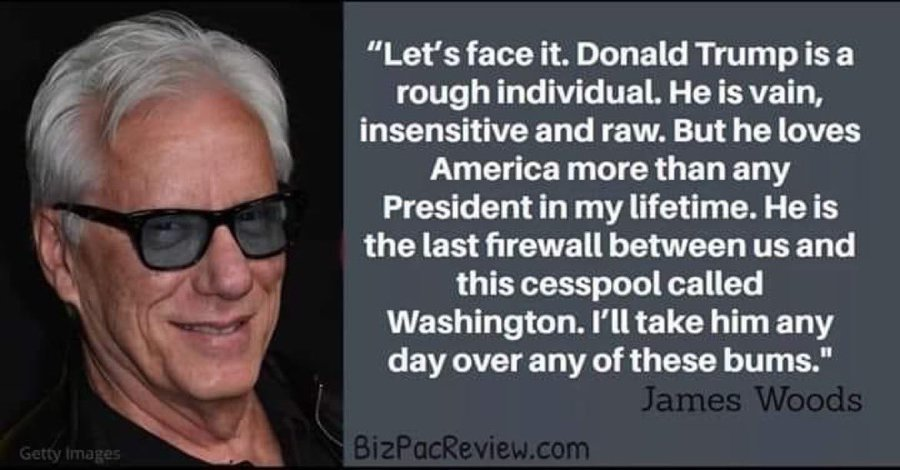 ParamjitGarewal's tweet photo. James Woods hits the nail on the head ! https://t.co/vnZSt5R8gX