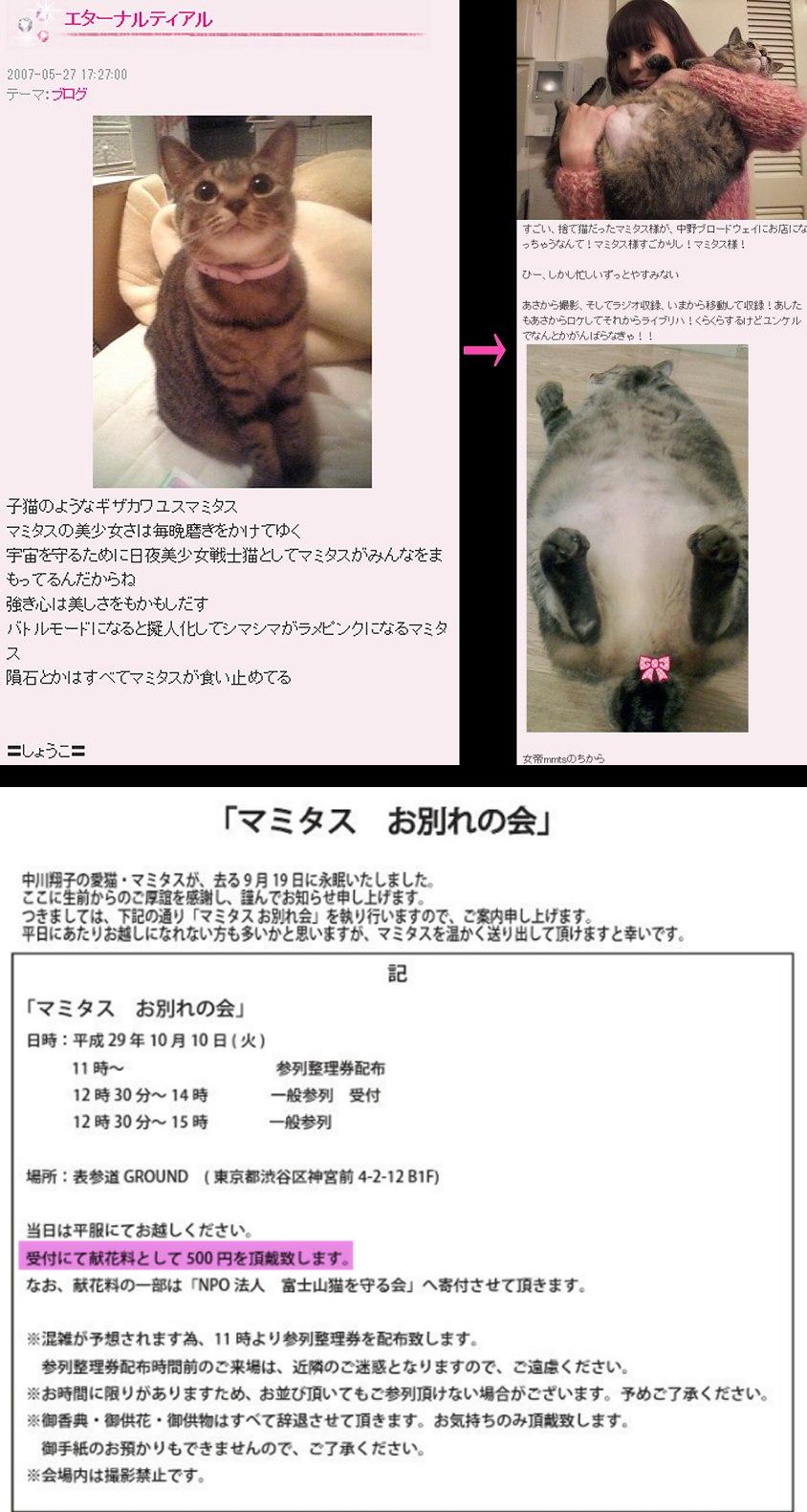 Animerublog 虐待 しょこたんの愛猫マミタスの思い出 T Co Xsuqd2mbv2 T Co 1bvnuwm0xb Twitter