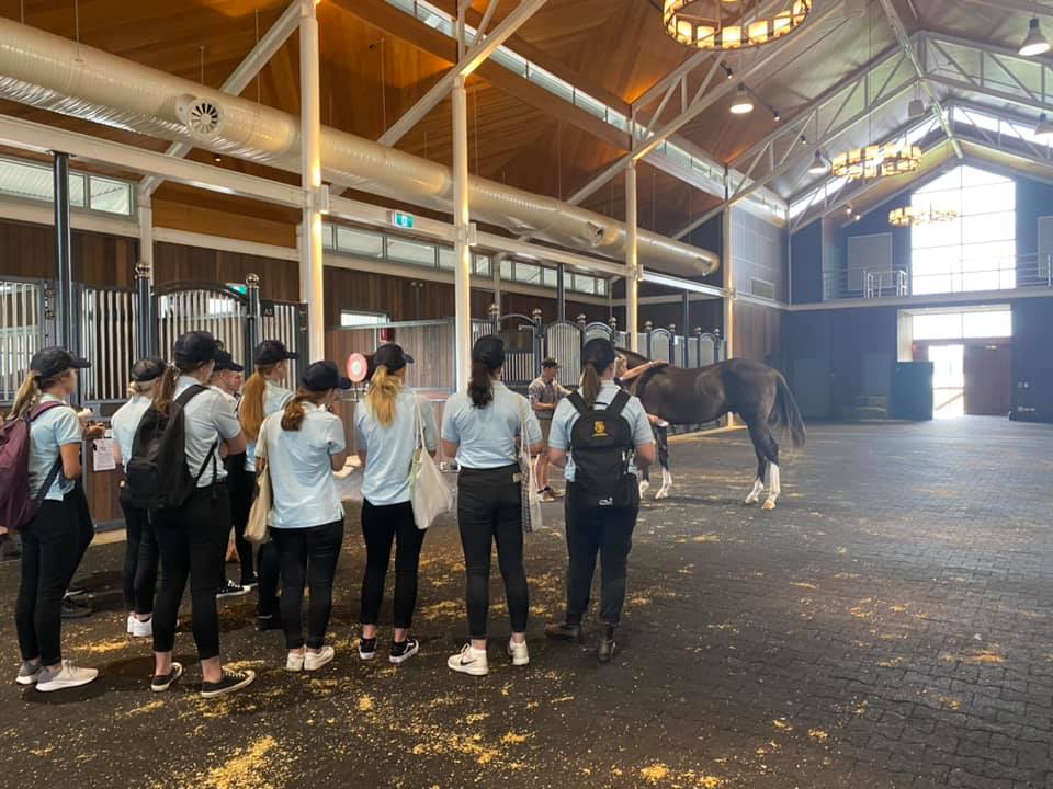 Great to have the latest intake of Cadets, who commenced on Monday, out at the Inglis Sydney Classic Yearling Sale yesterday to watch some of the bidding action. Big shout out to <a href="/AWilliamsBldstk/">Andrew Williams</a>, <a href="/lindsayparkrace/">Lindsay Park Racing</a>, <a href="/vickyleo/">Vicky Leonard</a>, <a href="/AstuteBldstock/">Astute Bloodstock</a> for spending time with these guys🥰