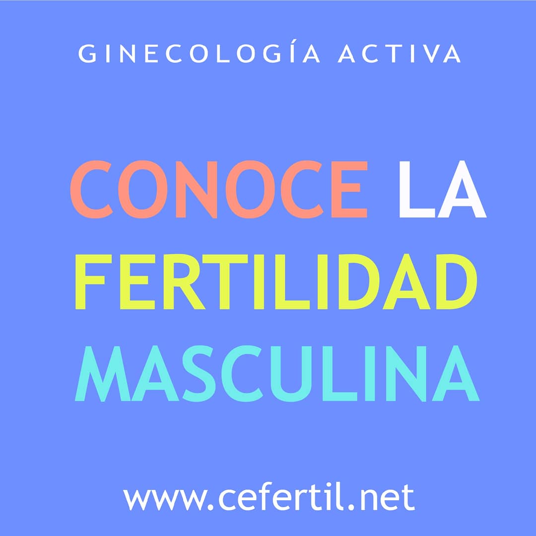 QUE ES LA TERATOZOOSPERMIA?
La teratozoospermia, es una alteración que afecta al semen del varón en que la gran mayoría de espermatozoides presentan una morfología anormal e indica si tienen alteraciones que pueden afectar su capacidad reproductiva.Lee + cefertil.net/fertilidad-blo…