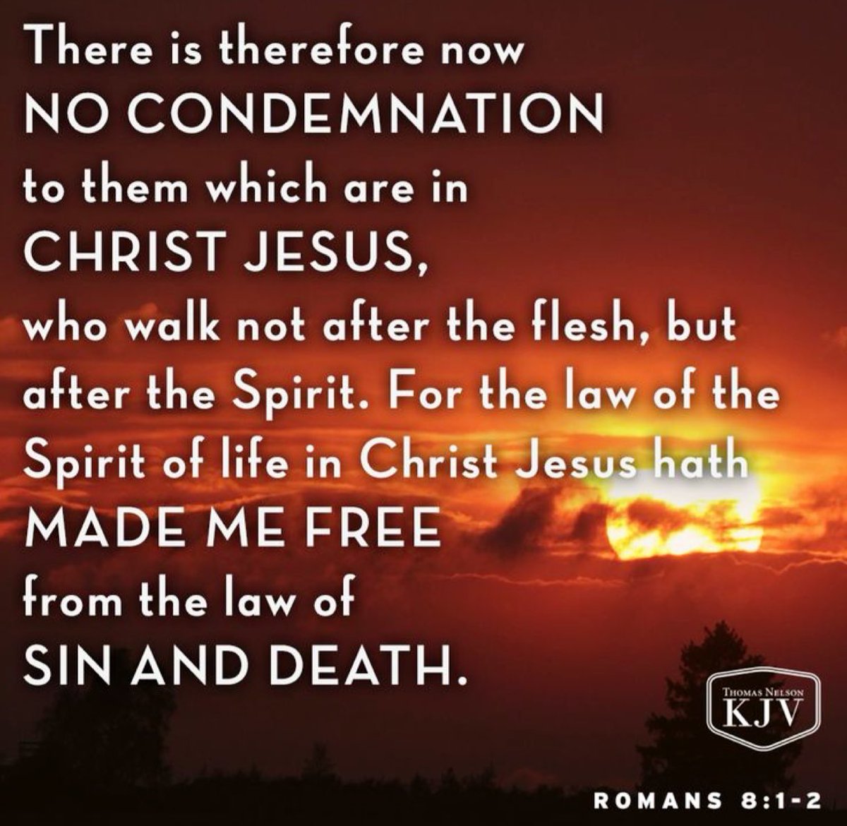sharonePack's tweet photo. ❓
are you feeling shame
about what you’ve done?
there is now NO condemnation for
those who are in ChristJesus
Accept PEACE #Jesus Gives
You can Sleep in Peace,
Wake up with Peace,
Move ahead~In #Peace
you’re right-#BeyondUnderstanding
Accept His Peace
PILLOW🌟#PROMISE💫 https://t.co/N9U0NXHrQC