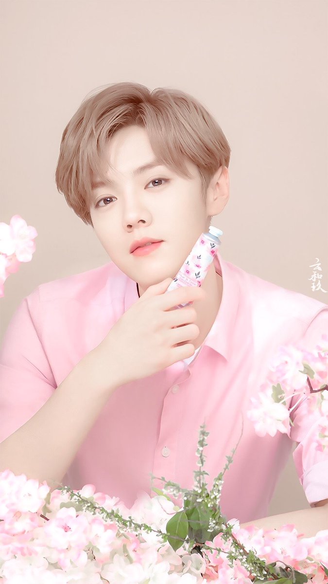 LUHANPlNK's tweet photo. prettiest flower 🌸✨ https://t.co/PXk0sunDv2