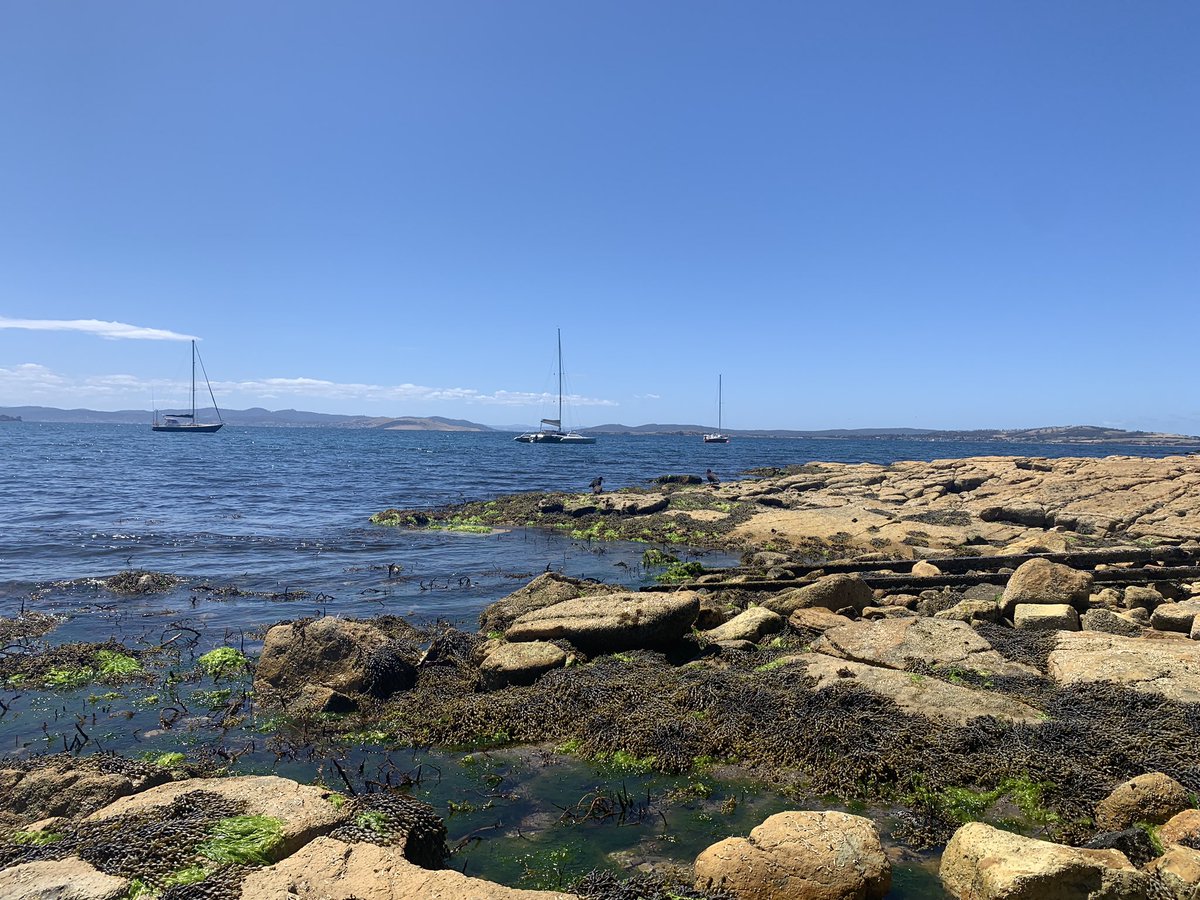 SonyaFiddes's tweet image. How does your conference lunch break look today? #AMOS2021