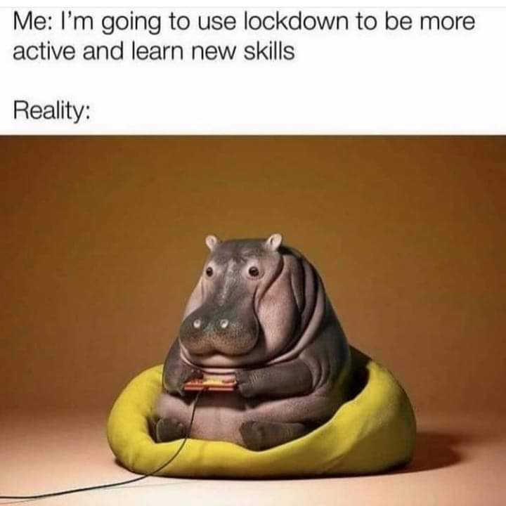 rufffies's tweet photo. Dammit!! 🤦♀️
.
.
.
.
#lockdown #MEMES #life #memesdaily #active #hahaha #IRL #foodlover #ItsTrue #funniesttweets #lifememes #LifeInADay2020 #foodpanda #cantstopwontstop #Hippo #LifeAfterLockup #reallife #memestagram #mylife https://t.co/yd2lf8DiEn