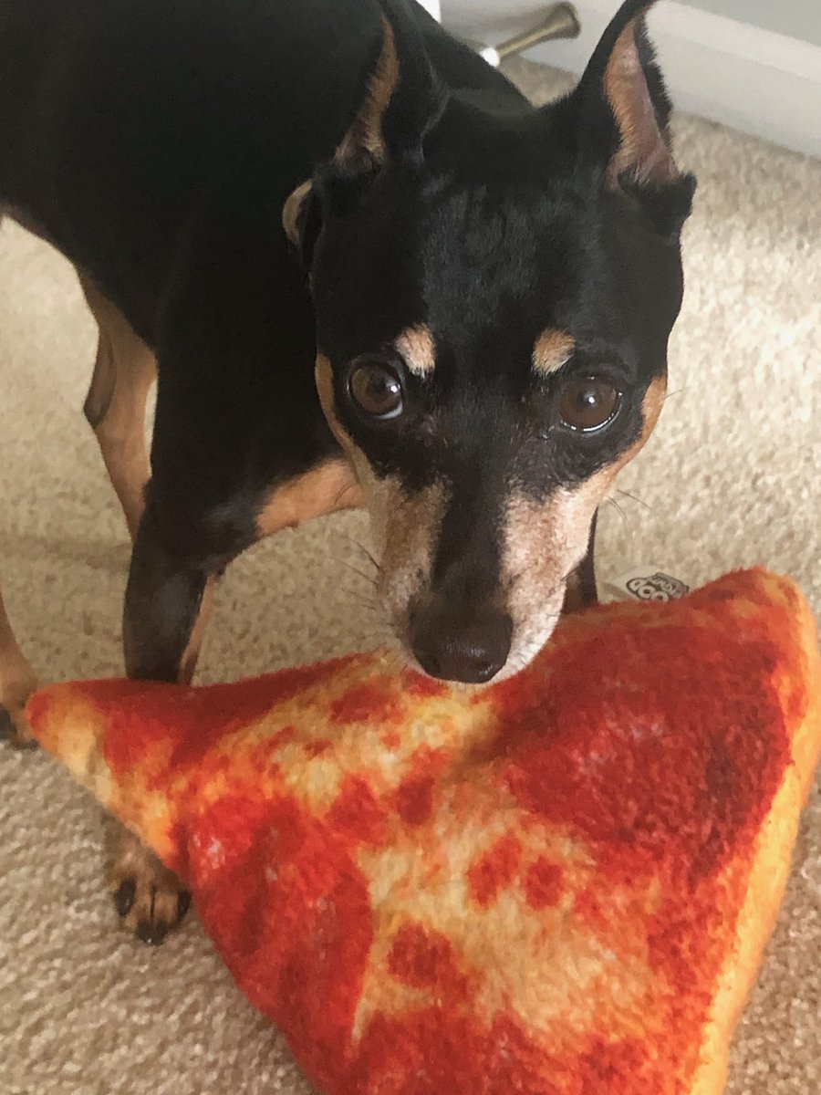 LGEvaKurkowski's tweet photo. Did someone say it was 🍕 day??Crispy or chewy crust? Pizza stone or right on the rack? To share or Not to share?😉 Your #LGRange, your rules — especially on #NationalPizzaDay https://t.co/2rEdHXWImL