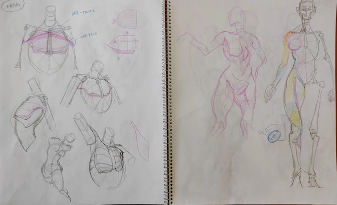 お久しぶりのハンプトン模写
やっと半分終わった
あと半分… 