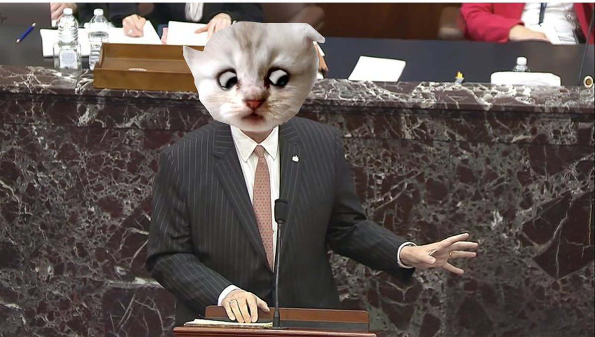 "I'm not a cat." #TrumpImpeachmentTrial #CatsOfTwitter #catlawyer #Trump #ImNotACat