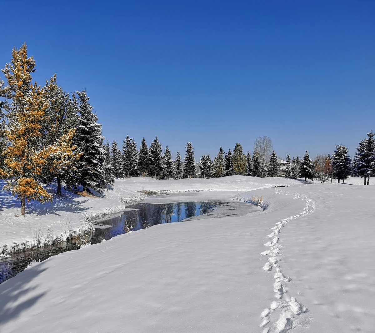 Paul Birnie tweet media