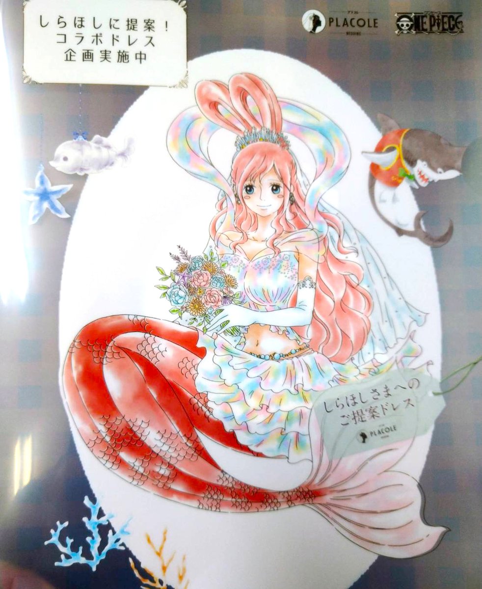 Placole Twitter Search