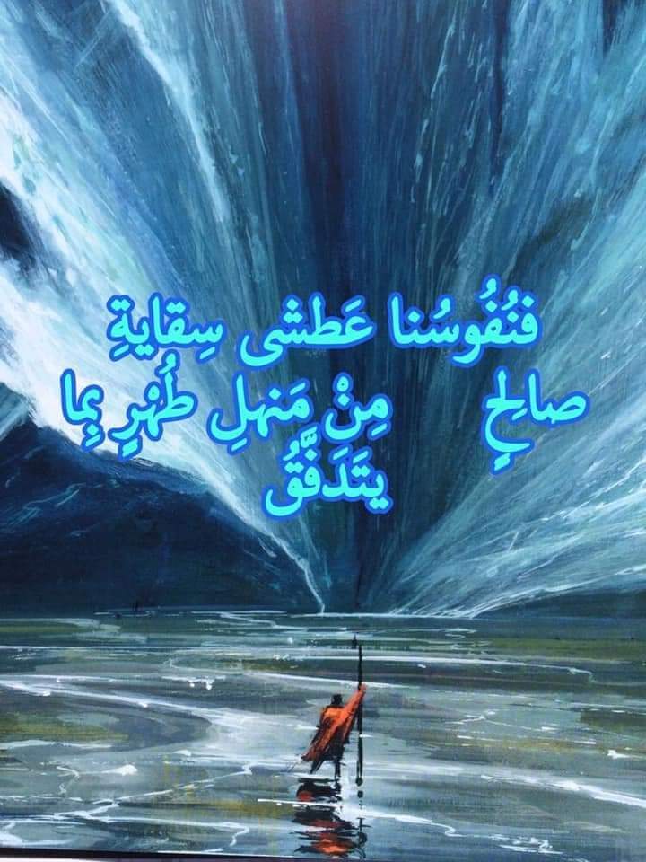 انوار الزهراء tweet media