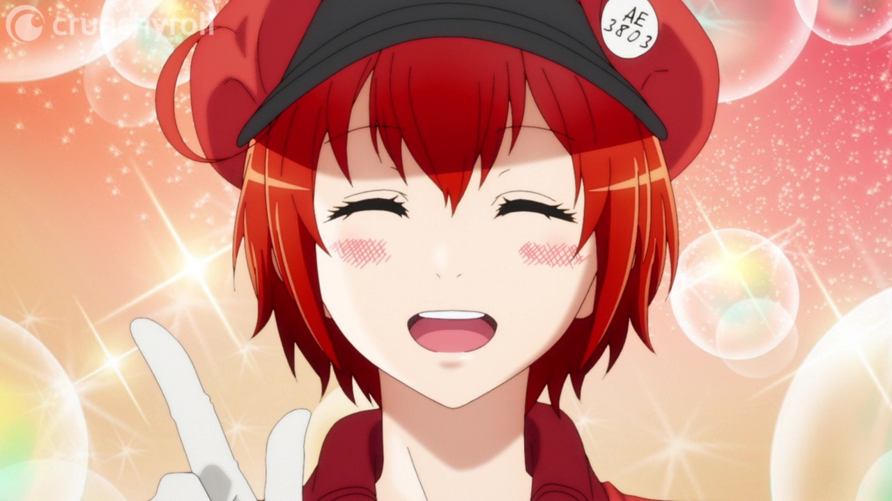 Best Girl - Red Blood Cell at your service! Anime: Cells