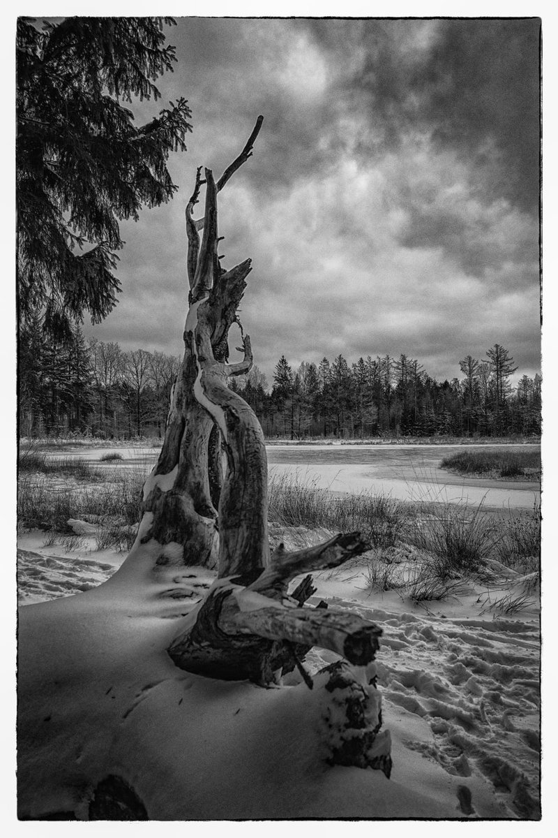 bertbielderman's tweet image. Winter. #photooftheday #photography #blackandwhite #landscapephotography