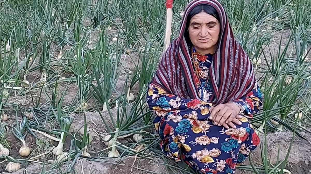 FAOemergencies's tweet image. Thanks to the support of Denmark, @FAO is providing 4 500 vulnerable farming families in Afghanistan with emergency agriculture packages.

🛠️ Tools
👥 Training 
🌱 Seeds 

Will help improve the food security &amp;amp; nutrition of families most in need.

👉 bit.ly/3p6ApoA