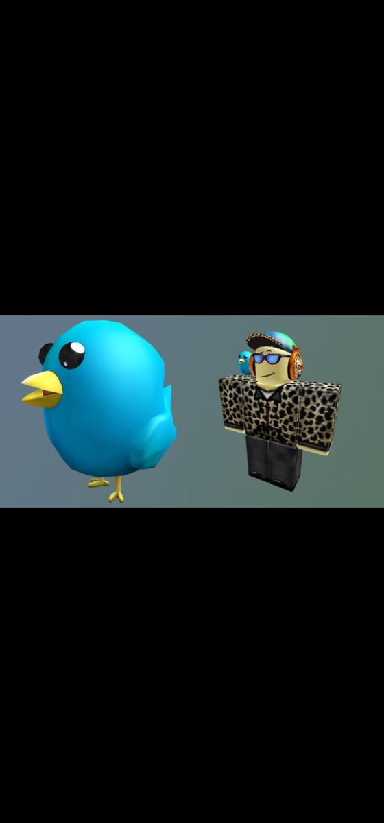 Roblox on X: A gift for our Twitter followers! Enter code TweetROBLOX  (case sensitive) at  for this bird pet   / X