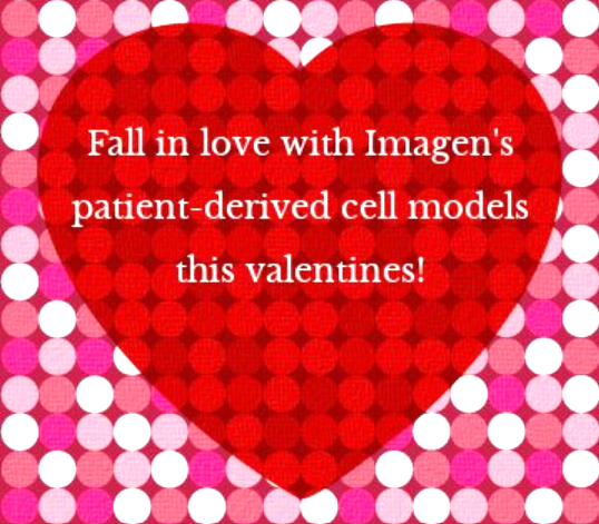 ImagenTx's tweet photo. Roses are red, 
Violets are blue, 
Imagen’s patient-derived models,
Are waiting for you!

Contact us to learn more -> https://t.co/ArcQ8Ke5Qq https://t.co/q0VvEPrXga