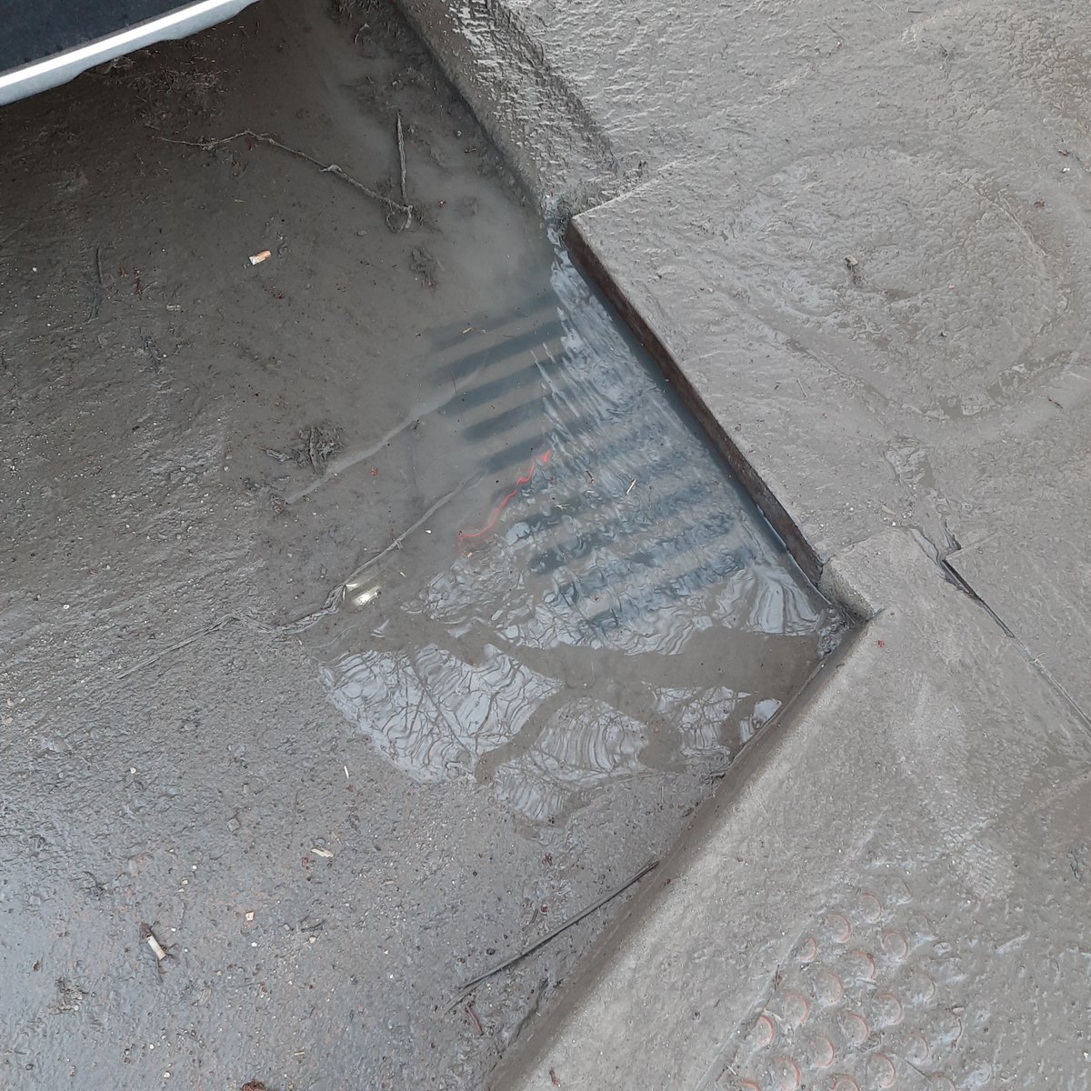 CastejonFerrer's tweet photo. A/A @Lineamadrid @JMDHortaleza ruego procedan a la limpieza del alcantarillado en la Calle Tomas Redondo junto al @ceip_zaragueta. Como verán 👇, ayer se formo una balsa de agua importante. Hoy el nivel era mucho menor pero las alcantarillas siguen saturadas. Gracias. https://t.co/41R4ykEiOh