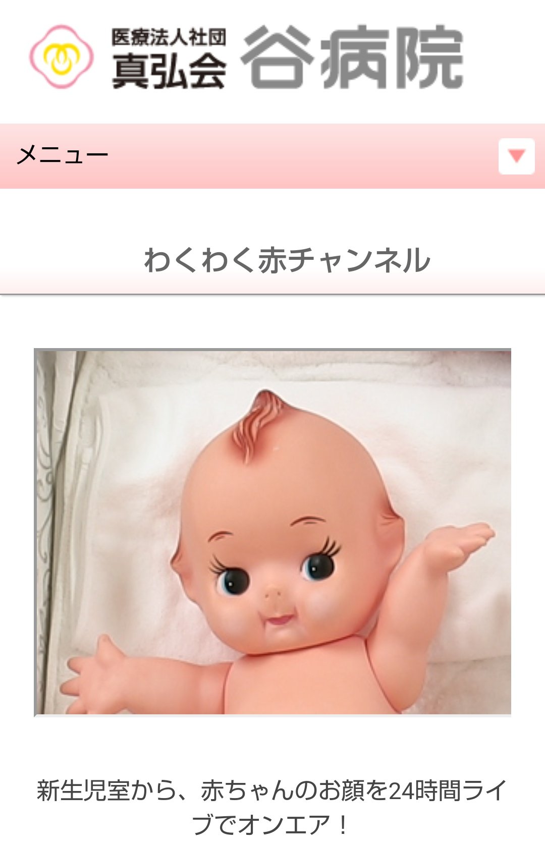 すごい 番号 廃止 赤ちゃん チャンネル 残高 葉を集める 書士