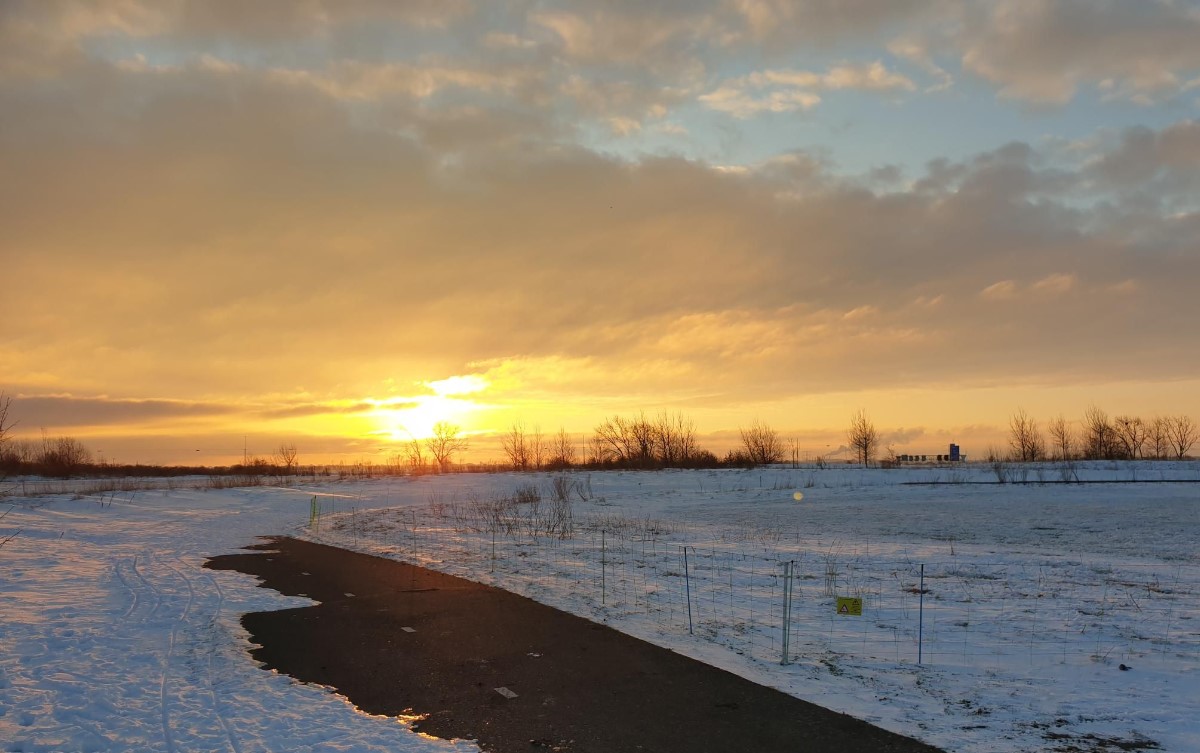 basdewit's tweet photo. #weerfoto #runpic #hardlopen #genieten #aagtenpark @gem_Beverwijk https://t.co/MtArZXm1Tx