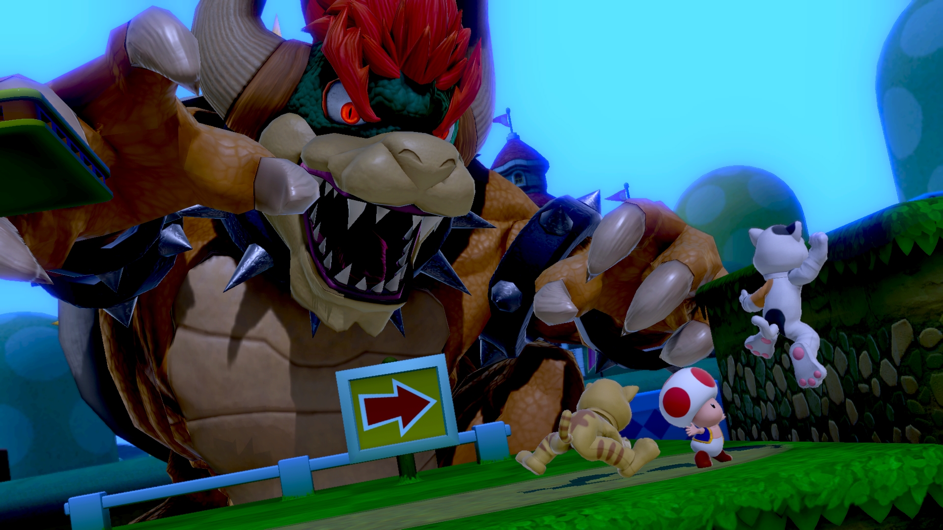 スーパーマリオ 3Dワールド + フューリーワールド Switch - ゲーム スーパーマリオ 3Dワールド + フューリーワールド Switch - ゲーム
