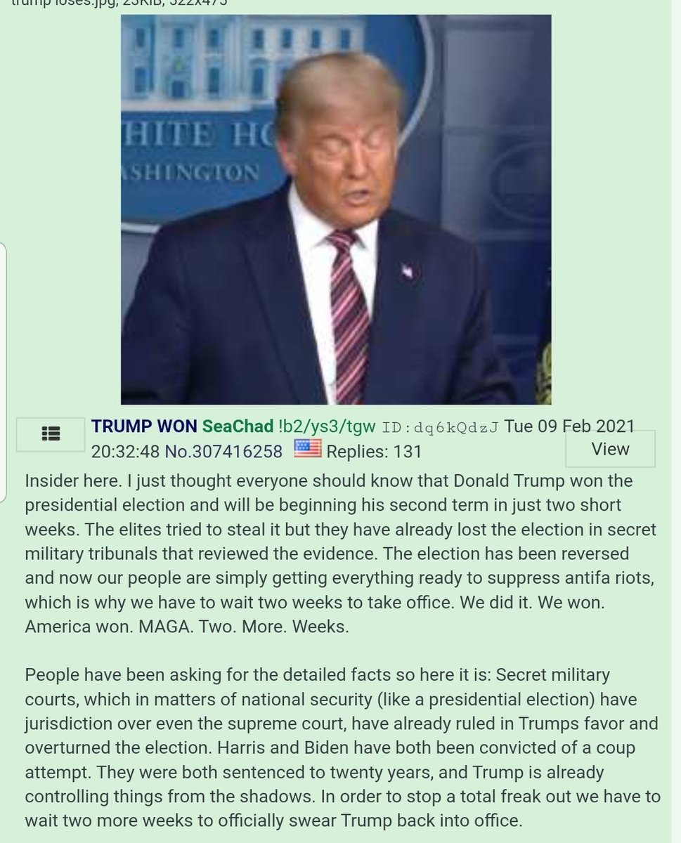 "Secret military courts, which in matters of national security (like a presidential election) have jurisdiction over even the supreme court, have already ruled in Trumps favor and overturned the election. Harris and Biden have both been convicted of a coup attempt."