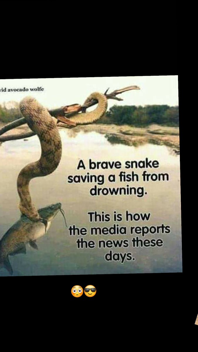 BALOGUN (@balogunnetwork) on Twitter photo 