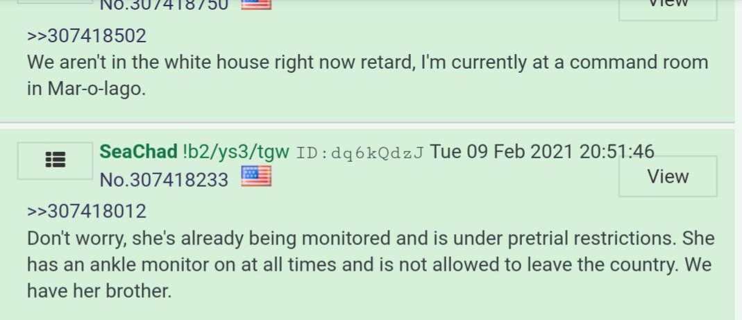 Hildawg is being monitored & outfitted with ankle bracelet.