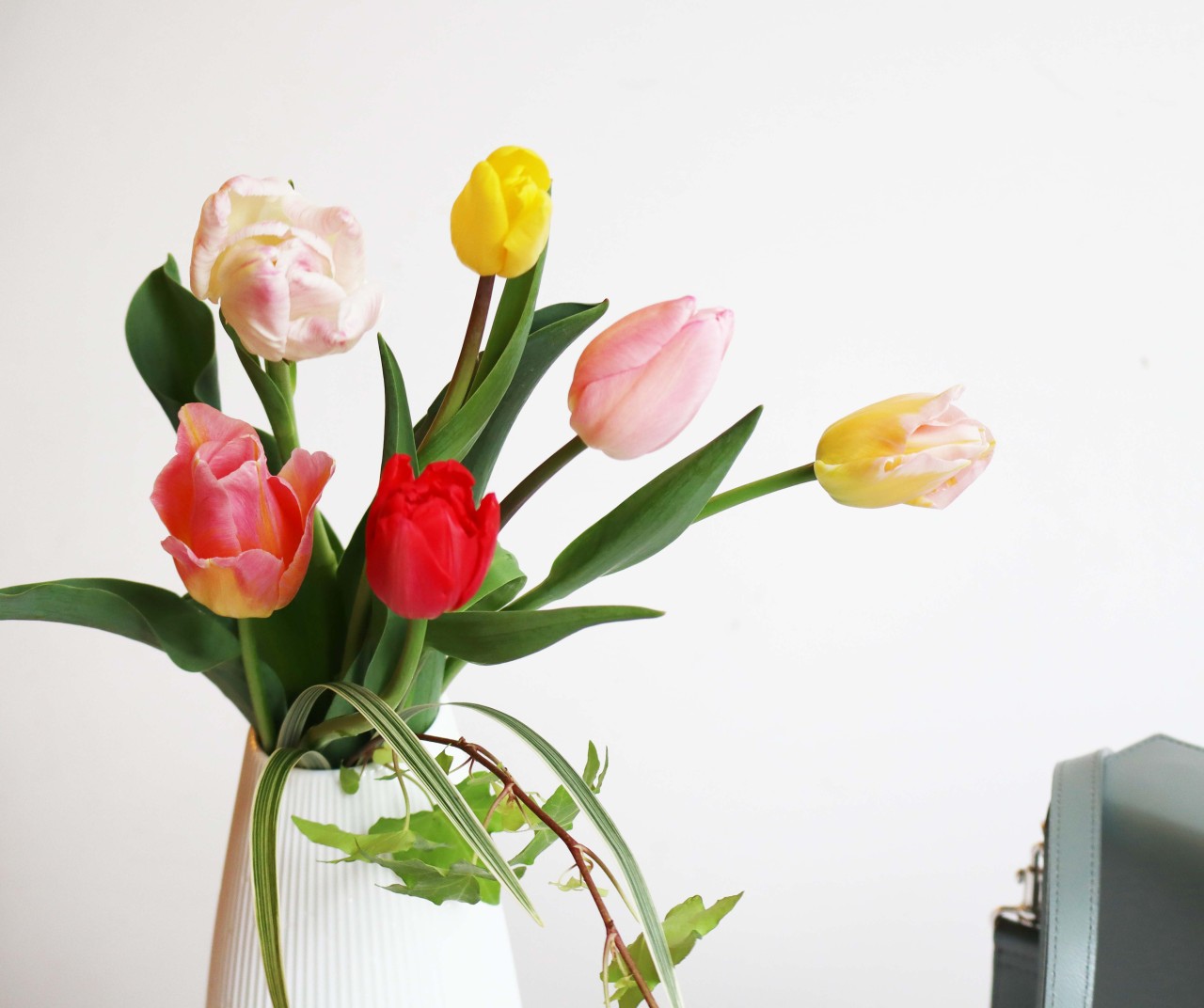 坪井花苑 本店 今年も開催決定 チューリップフェア 毎年大好評のチューリップフェアが今年も開催いたします 2 24 水 2 26 金 の3日間 坪井花苑本店にたくさんのチューリップが並びます 色々な咲き方や色とりどりのチューリップが店頭に並ぶのは