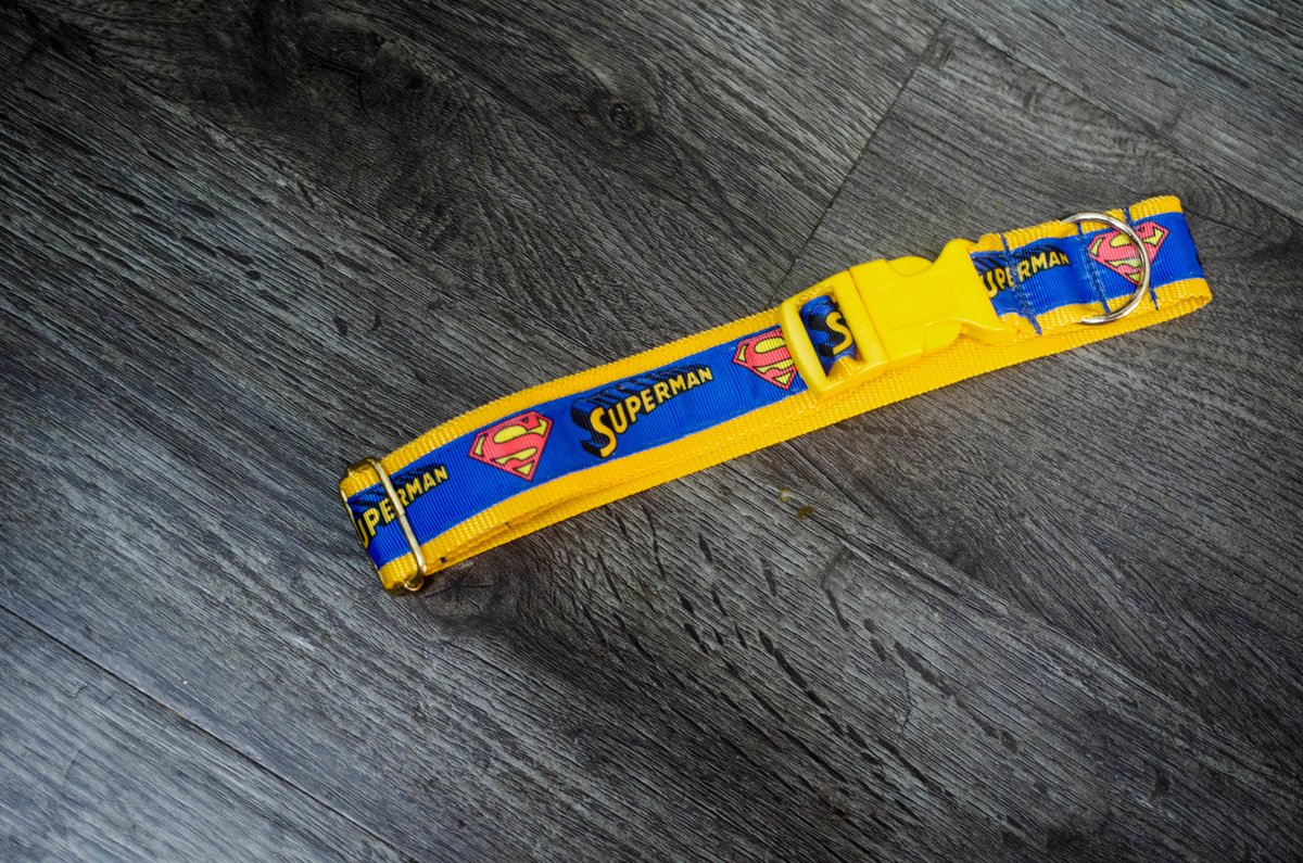 CleopatraDiana3's tweet photo. Going out today this awesome Superman collar. FYI it is a gift for someone really special. 
.
For details on all our products ping us on +91 9619601144 or drop by https://t.co/WcFx85Z13I
.
#petparents #puppy #dogs #pets #leash #dogharness #collars #beagles #superman https://t.co/gPfsNeMD4N