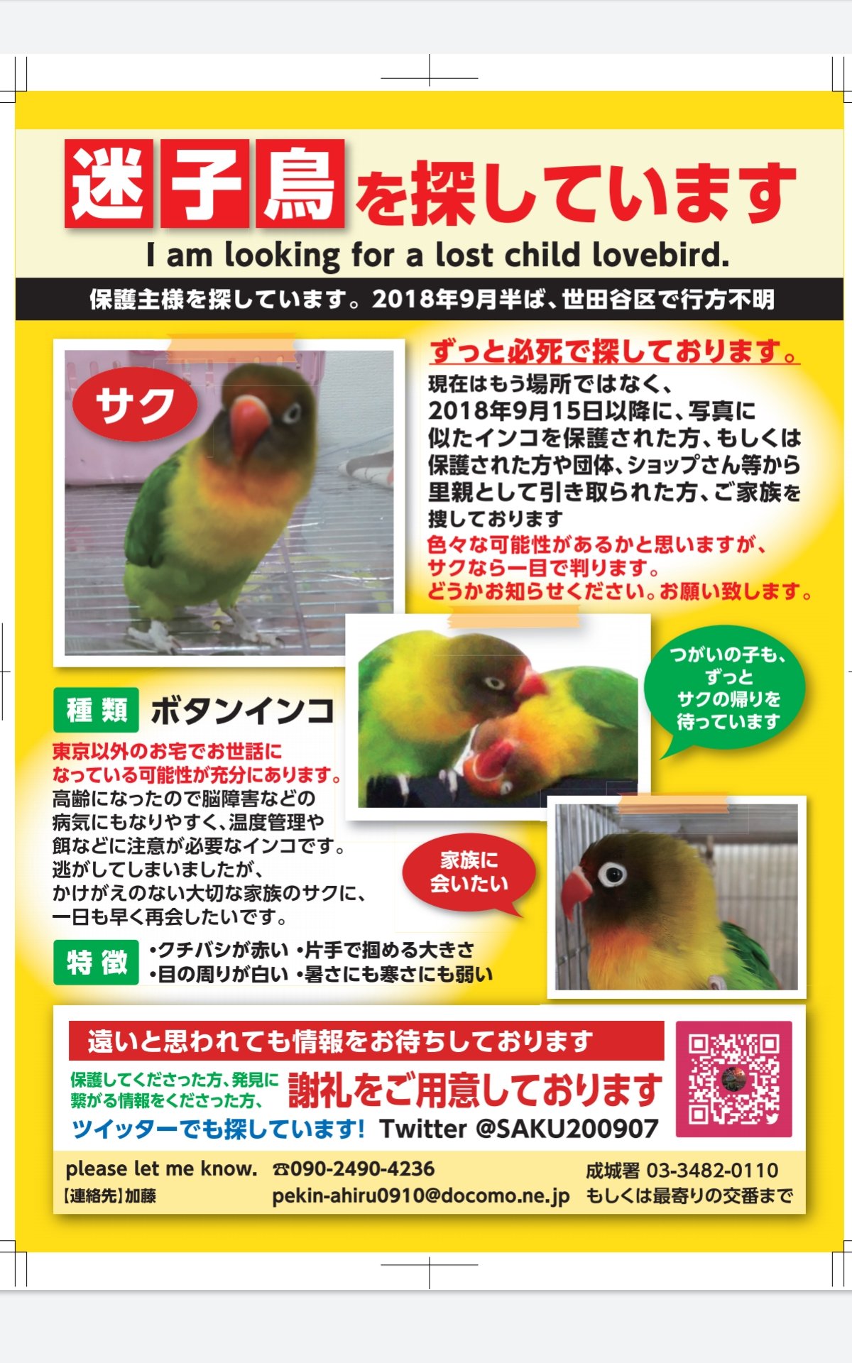 めい ボタンインコ を探しています ２０１８年９月半ば以降 に 似た インコを保護 された方や 譲り受けた方を探しています 餌の種類や加齢で 特に顔周りの羽根色が変わる事もありますが どうかお知らせ下さい セキセイインコ