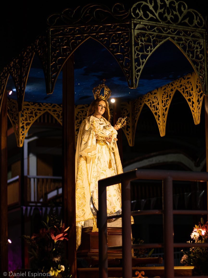 RomeroPerezChr's tweet photo. Nuestra Virgen de La Candelaria bendiciendo Tlacotalpan!❤️

Una noche emotiva e inolvidable. #Tlacotalpan #Candelaria @GobTlacotalpan https://t.co/ITxu0XylTL