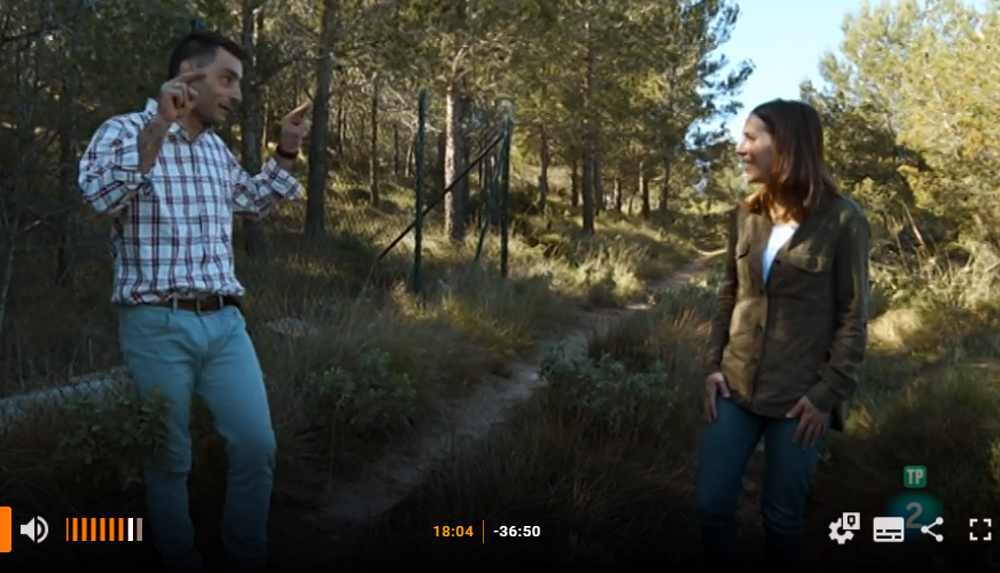 🤔Sabías que participamos en el programa “Reduce tu huella” de <a href="/la2_tve/">La 2</a>, donde <a href="/andelcampo/">AdC</a> y <a href="/Mara19199696/">María González - Sanchis</a> explicaron la importancia de la #gestionforestal en la #conservación de nuestros #bosques. 

👉A partir del min. 17 puedes ver sus declaraciones 
🖥️bit.ly/2Z3oq0q