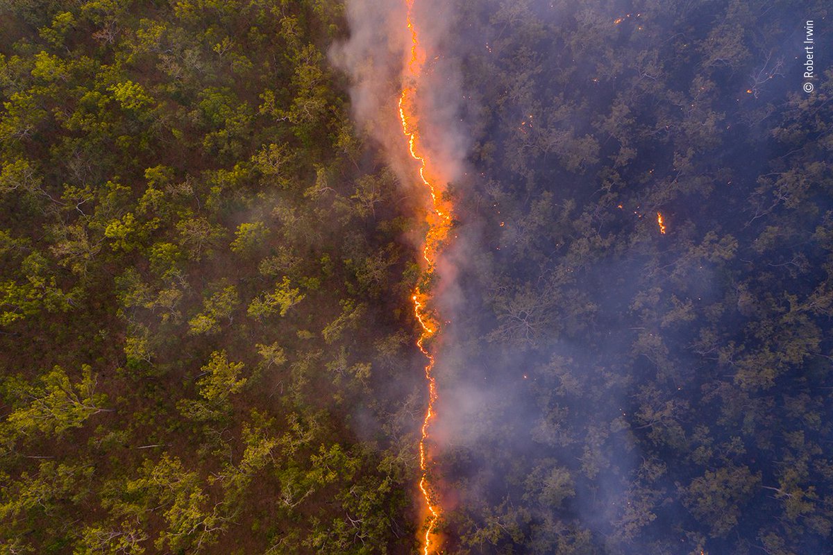 Wildlife Photographer of the Year tweet media