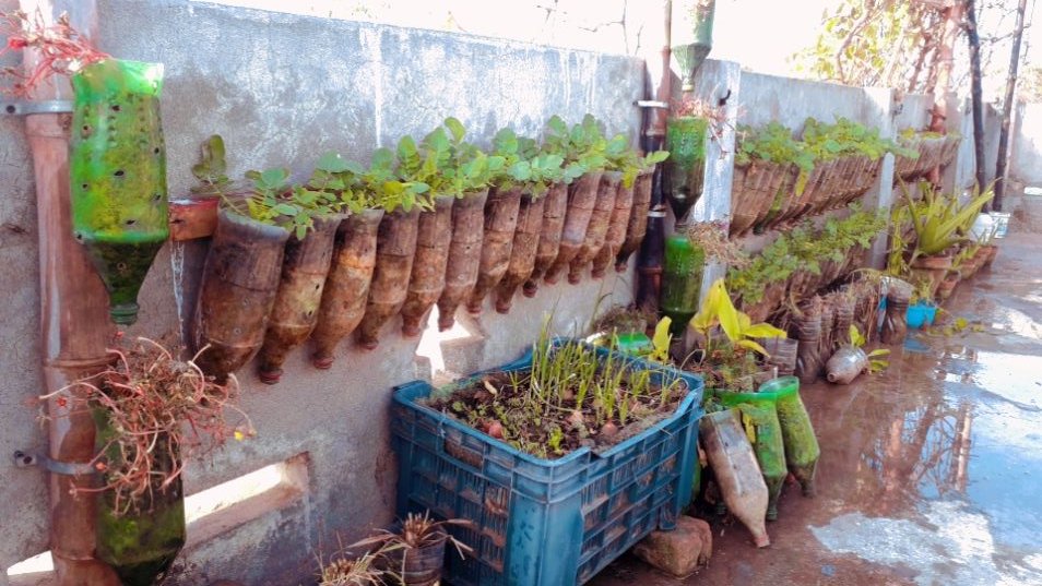 maryameqan's tweet photo. I have established this urban food production system at a school to localise food, reduce the food miles and ultimately carbon footprint. 
I am a @FoodSystems Hero 😍✌

#FoodSystems #foodSystemsHero #UNFSS2021 https://t.co/bV721oK0Z4
