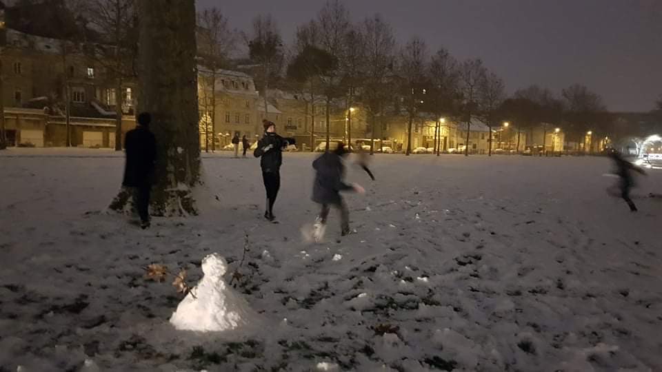 Dodo  tweet media