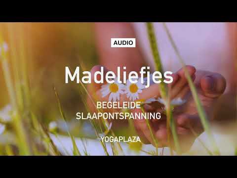 Yogaplaza's tweet photo. Madeliefjes. Laat je meenemen naar een prachtig uitgestrekte weide welke vol staat met madeliefjes!  https://t.co/NjxcyCrd1P https://t.co/OVmXLABotz