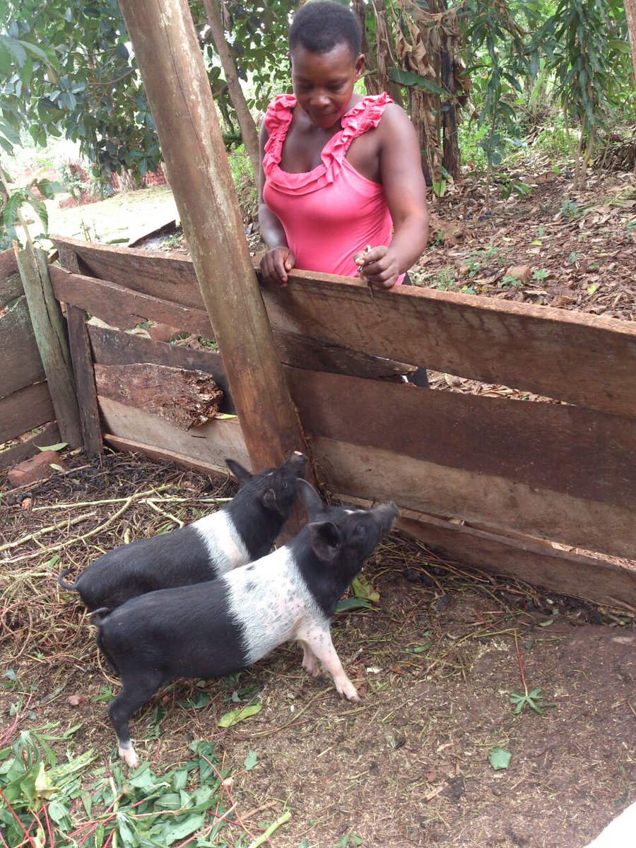 wellsofhope's tweet photo. Through the Economic Empowerment program, more caregivers of children with imprisoned parents have started income generating activities.
#betterlivelihoods #sdg1 https://t.co/YK0Z7ty1xU